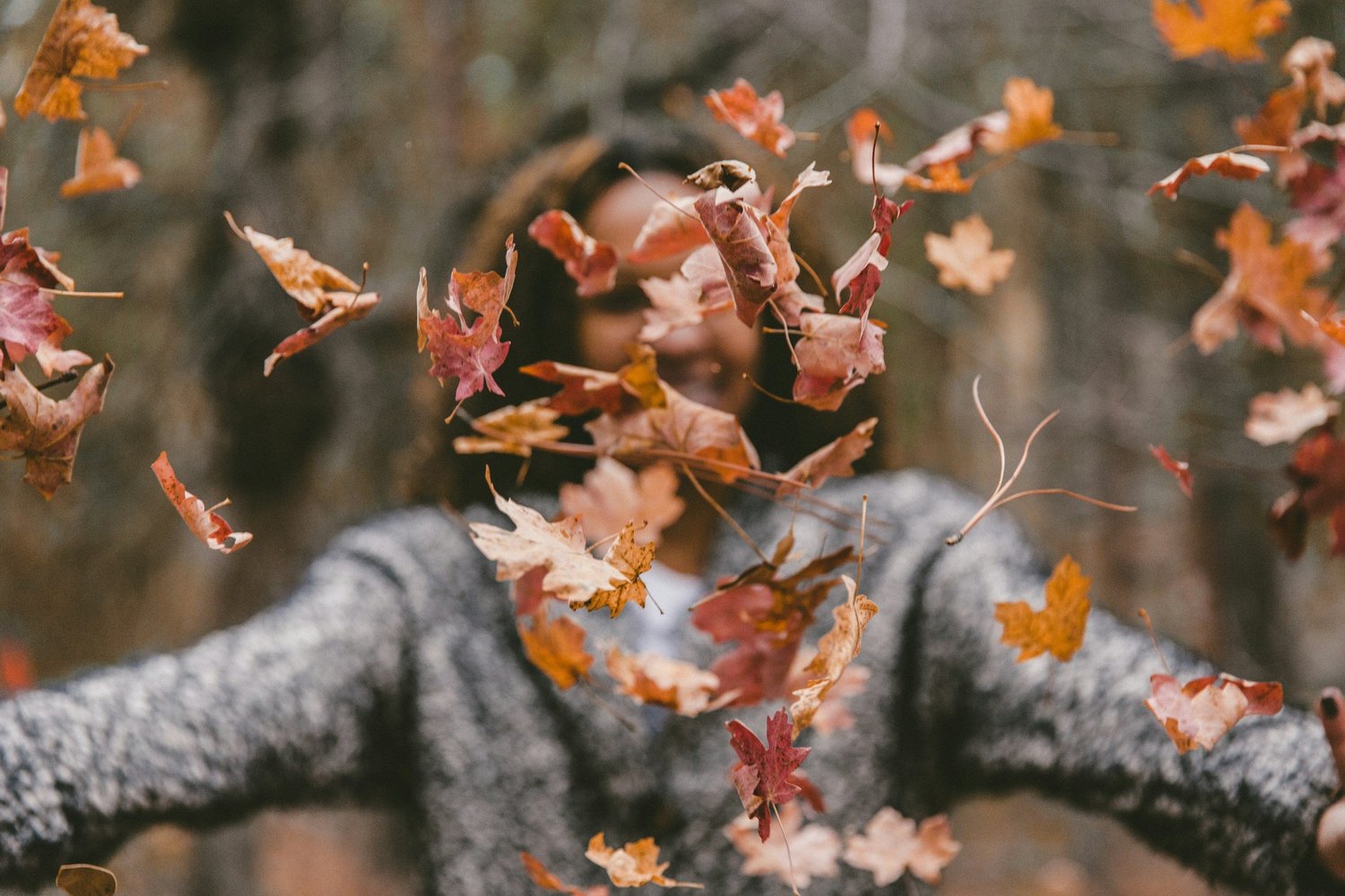 Discovering the Magic of Fall: Finding Joy in the Season of Change