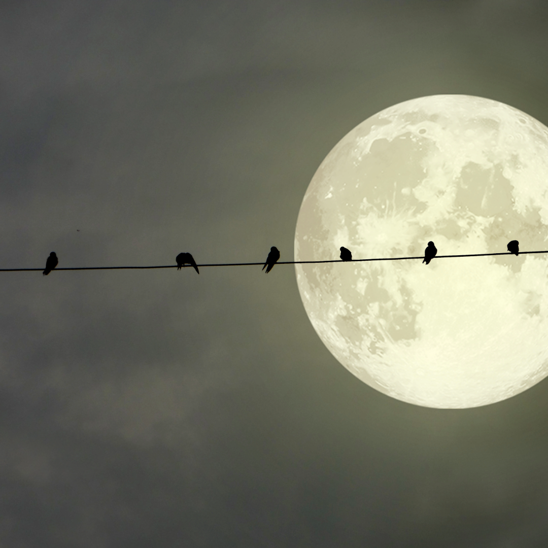 Guest Column: Supermoon on Fire