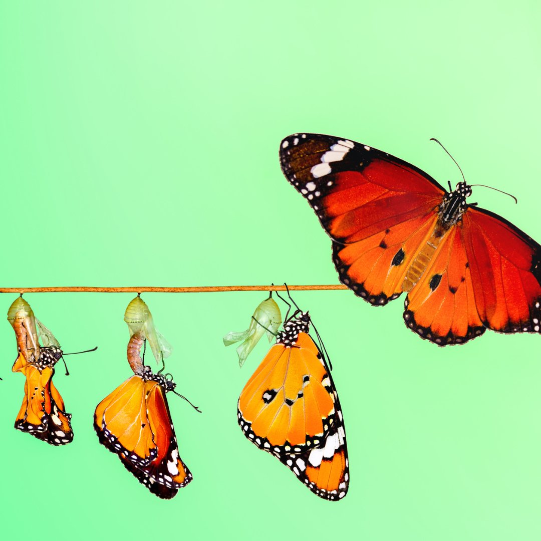 Make Change Work for You