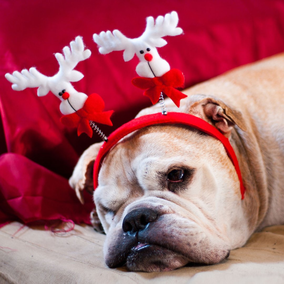 Overcoming Stress During the Holidays