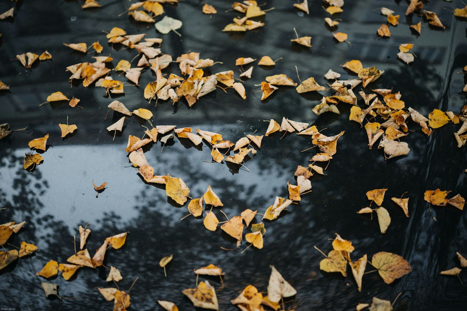 Shifting the Focus: Healing Your Own Feelings