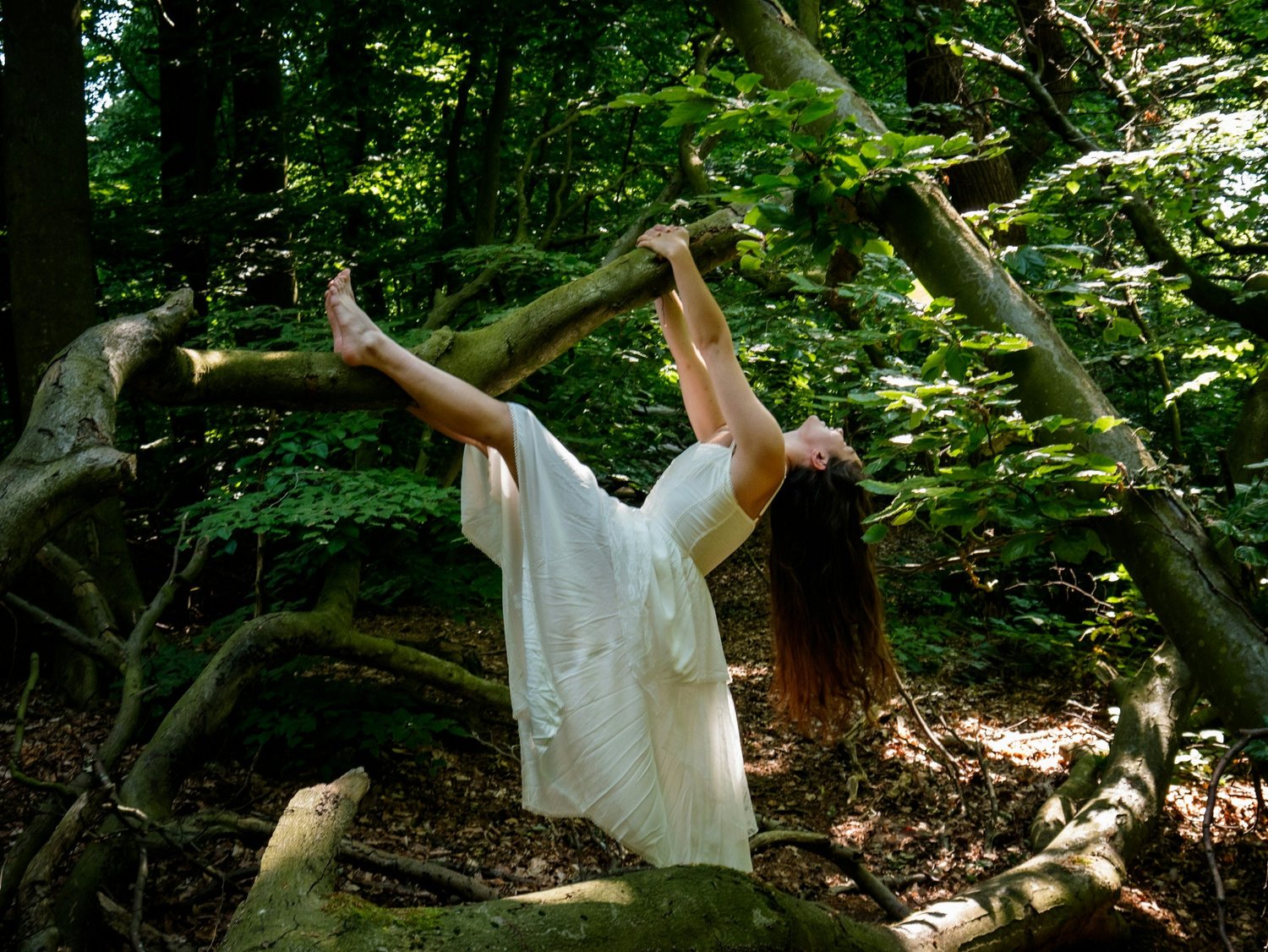 Spring Energy Reset: Using Reiki & Akashic Wisdom to Bloom Into Your Best Self