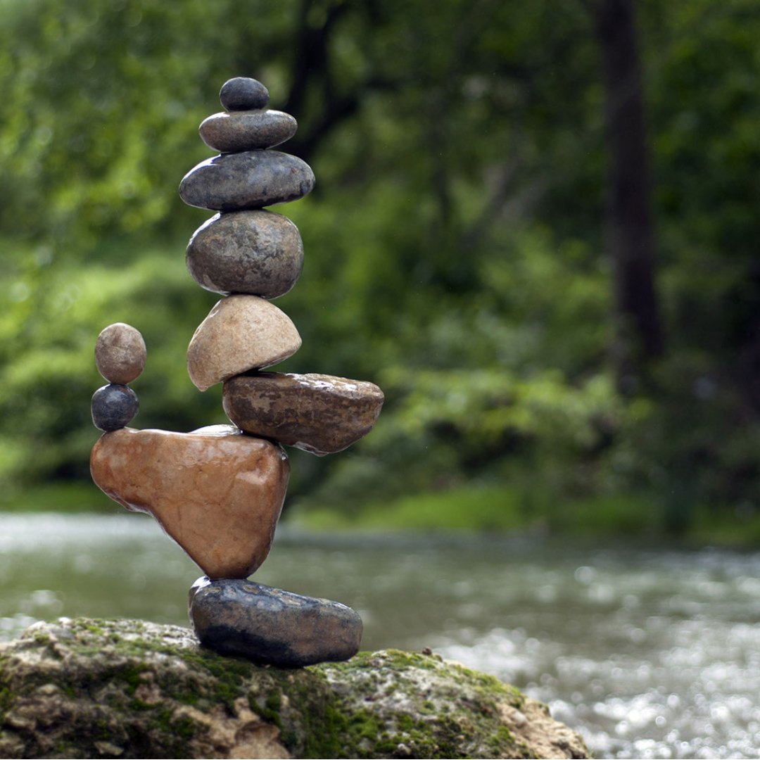 What is a Well-Balanced Life?
