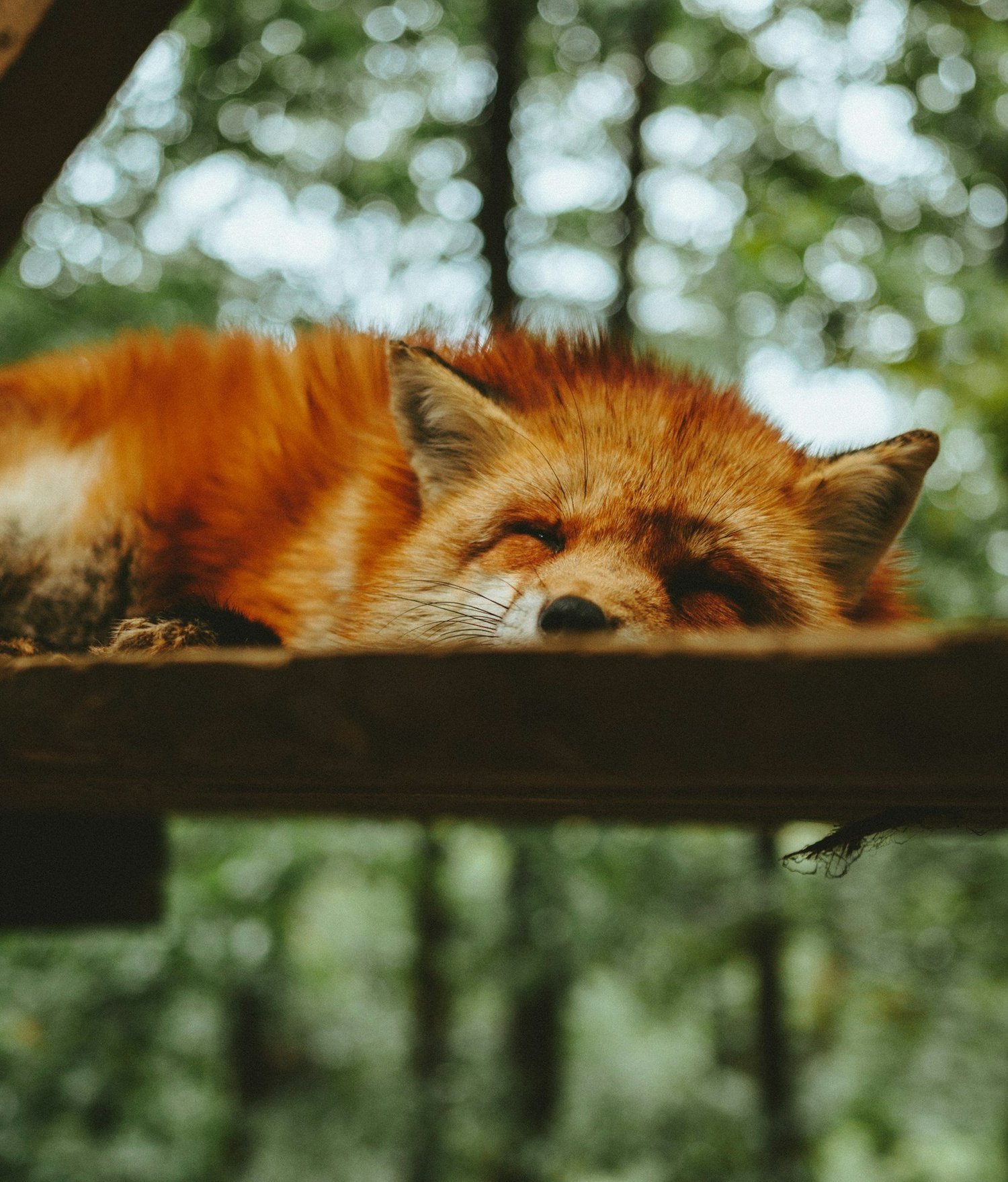 Why I Took a Break from Social Media (and Why You Might Need One Too)